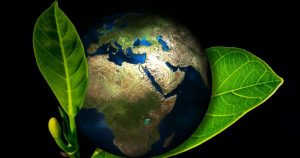 Ecological cleaning tips for a healthier environment